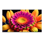تلویزیون کیو ال ای دی هوشمند ایکس ویژن مدل 65X25 سایز 65 اینچ - تصویر 2